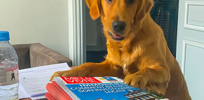 Couverture Mieux Vivre Votre Argent