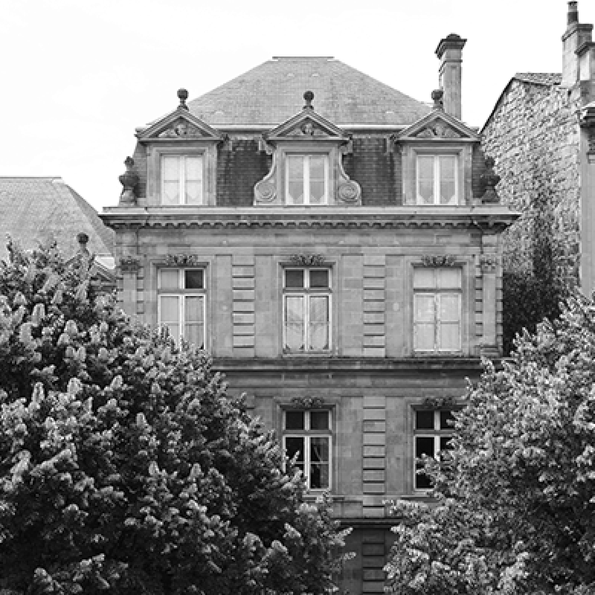 Immeuble Parisien