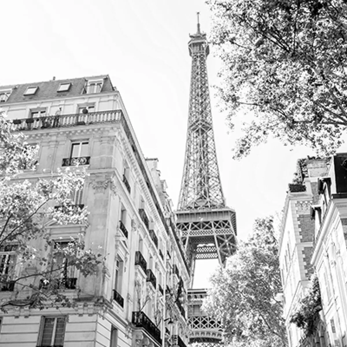 Immeuble Parisien Tour Eiffel