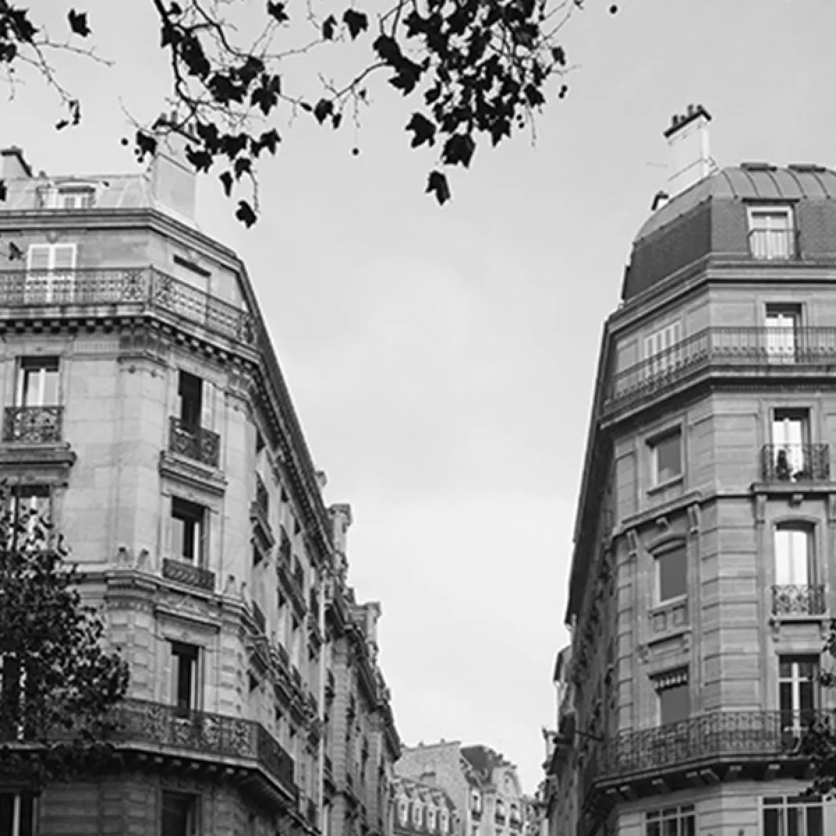 Immeubles Parisiens