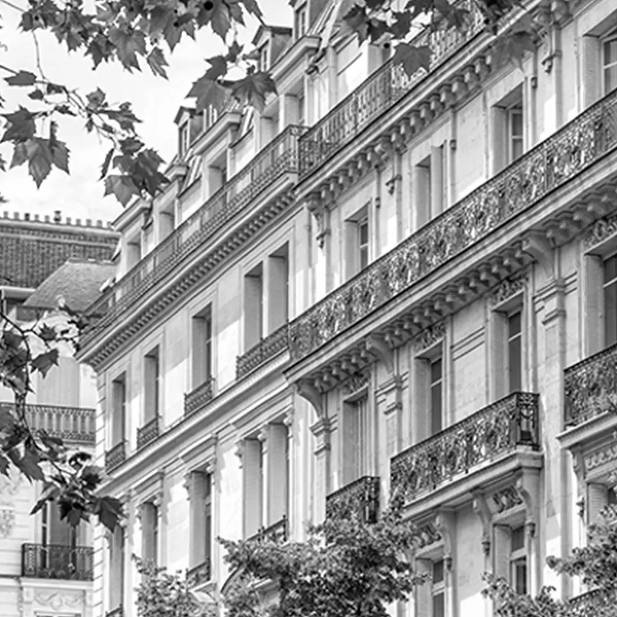 Immeubles Parisiens