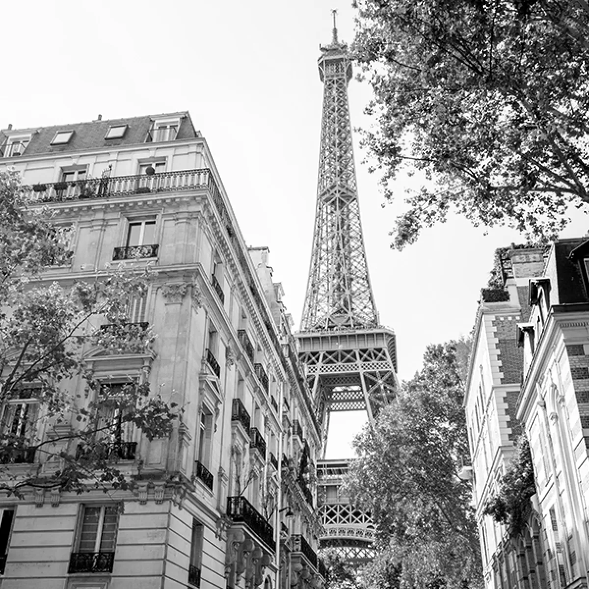 Immeubles Parisiens et Tour Eiffel